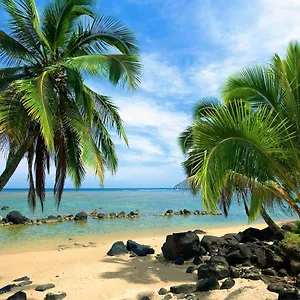 Paniolo 204b Princeville