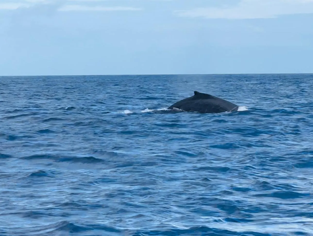 Oahu'S Best Kept Secret Laie 0*,  ABD