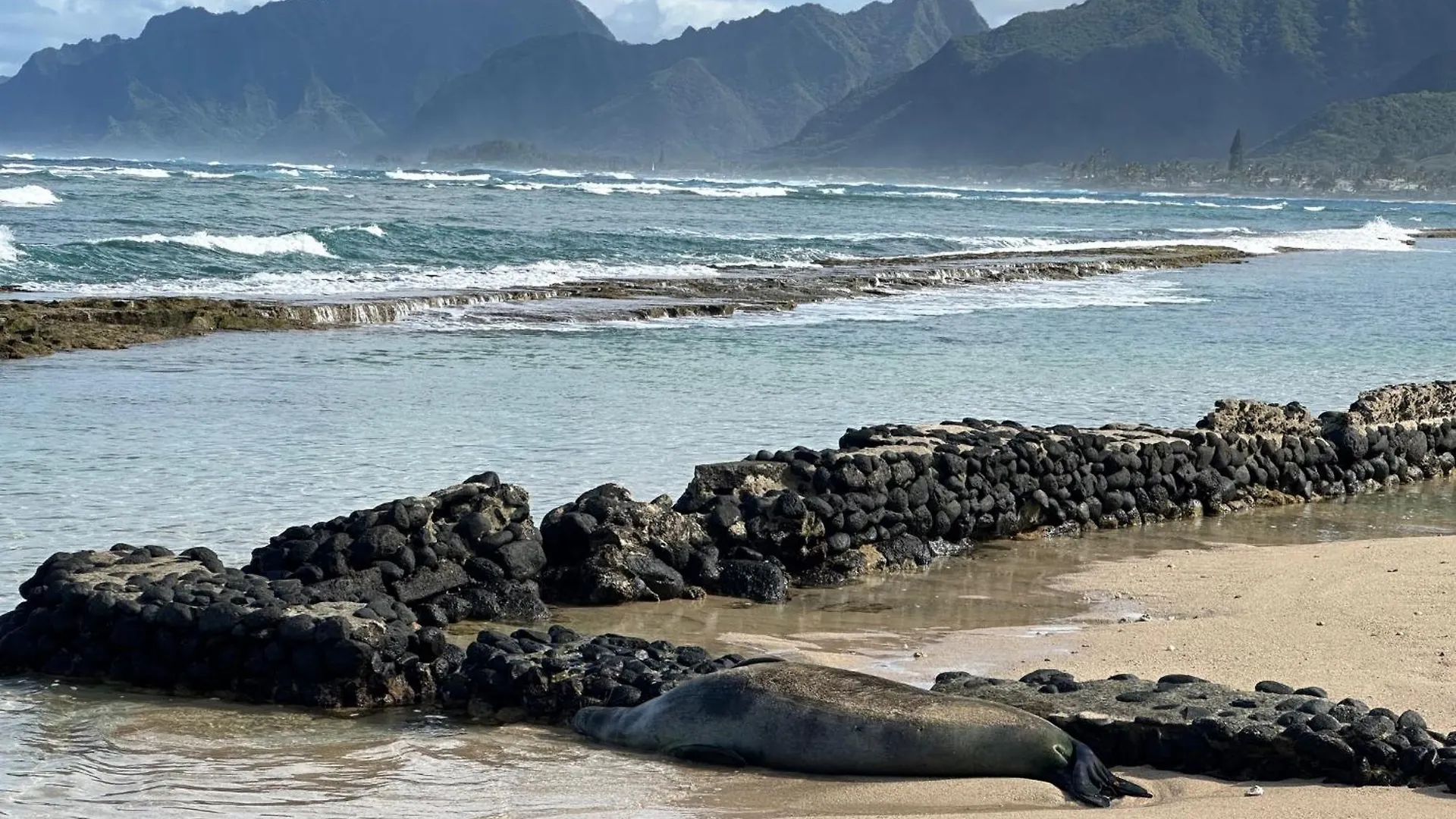 Holiday home Oahu'S Best Kept Secret Laie